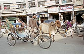 Varanasi - the old city is a cramped labyrinth crowded by pilgrims and street sellers 